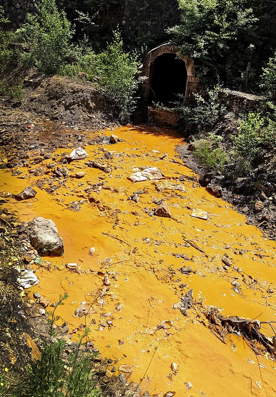 旧日秦岭伤疤 今日景致如画——yl6809永利集团黄龙河道域传染治理侧记