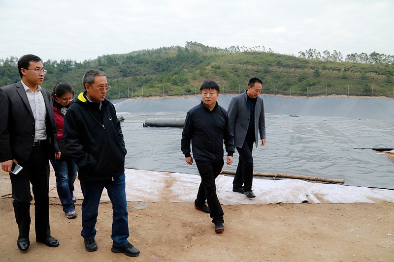 熊良虎在广西调查调研固废措置工作时指出：抢抓机缘，加快优势产业“走出去”