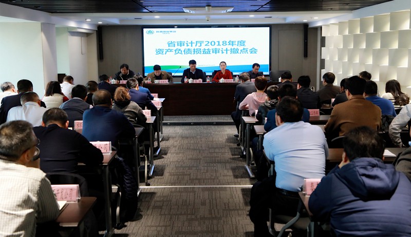 省审计厅对yl6809永利集团2018年度资产负债损益审计撤点会召开