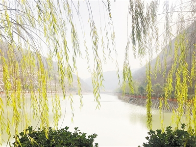 中国环境报：守护三秦大地绿水青山——yl6809永利集团成立以来，成为陕西传染防治的排头兵