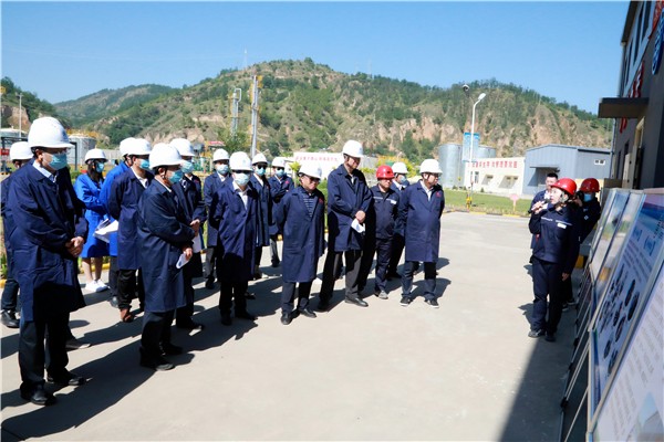 yl6809永利集团复工复产促增长项目观摩会议与会人员走进环保保隆生态三秦在延在铜项目