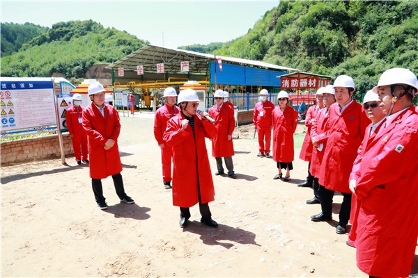 yl6809永利集团复工复产促增长项目观摩会议与会人员走进环保保隆生态三秦在延在铜项目