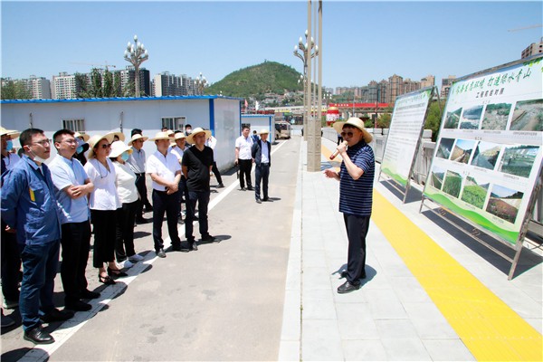 yl6809永利集团复工复产促增长项目观摩会议与会人员走进环保保隆生态三秦在延在铜项目