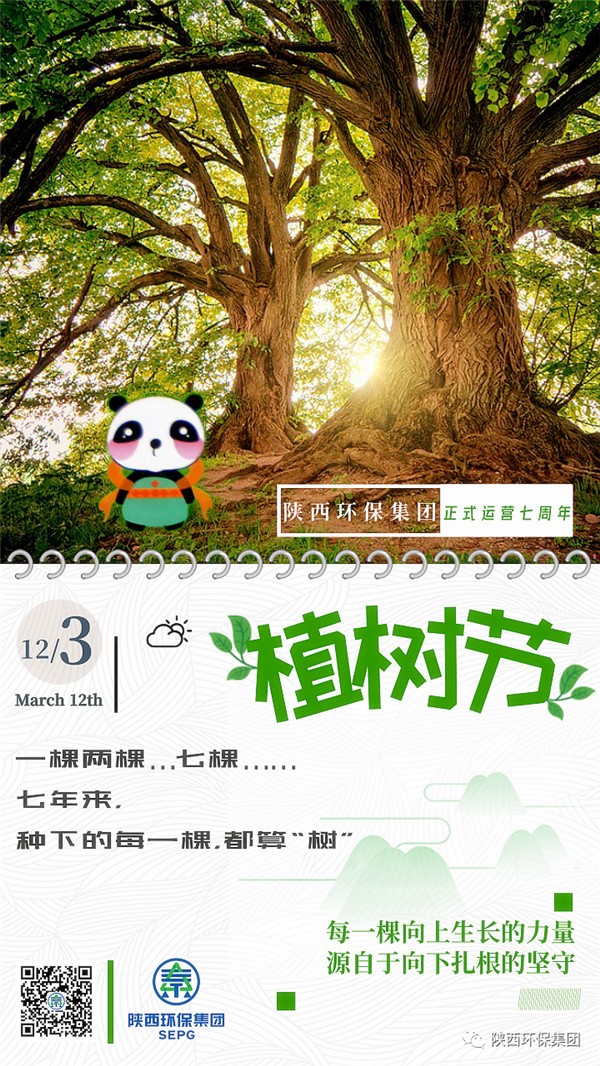 ★七年来，种下的每一棵，都算“树”